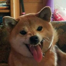 Foto de perfil de Elemece