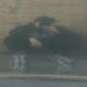 Foto de perfil de Rodris
